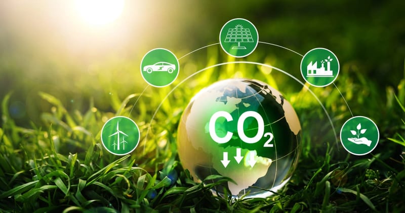 5 Ways to Reduce Corporate Carbon Footprint in 2024