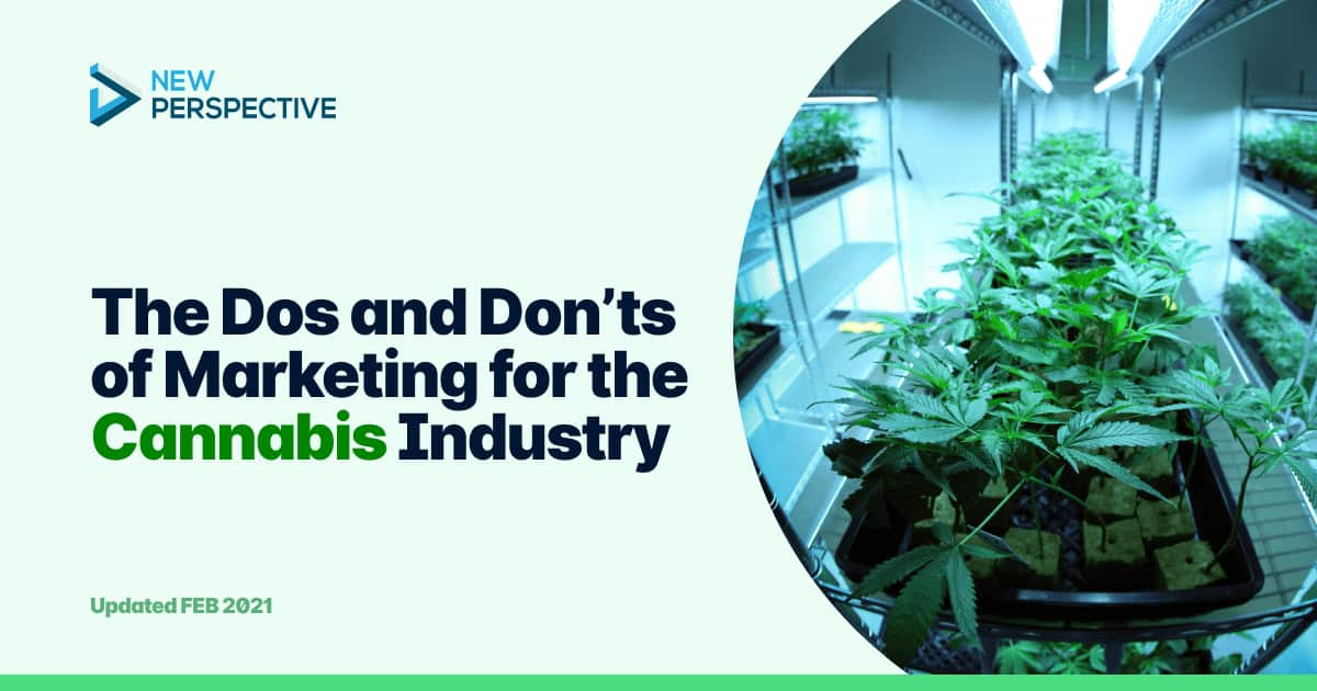 Cannabis Industry Statistics 2024 Where The Industry Stands